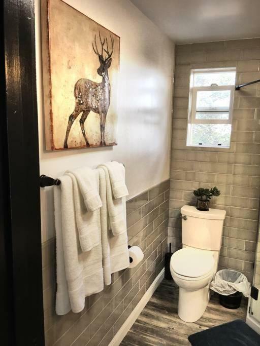 Papillon Cellars - The Loft Guest house 3*